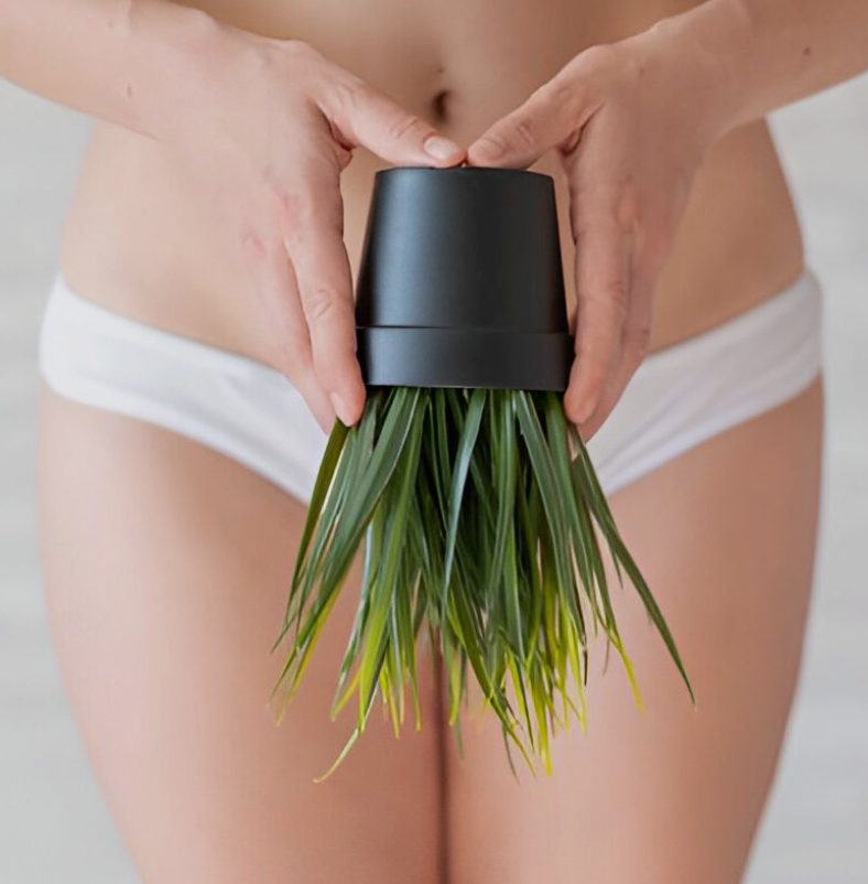 Brazilian Wax Jacksonville Brazilian Wax